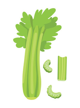 Celery. Flat vector clipart, illustration with isolated background.
