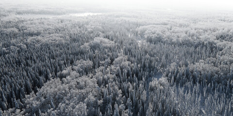 View from the air of a snowy frosty northern forest fading to transparent at the top in the distance
