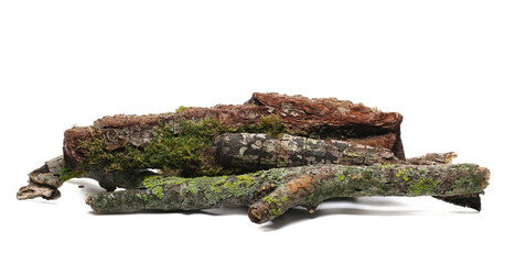  Dry, rotten branch with yellow and green lichen isolated on white background, clipping path, side view © dule964