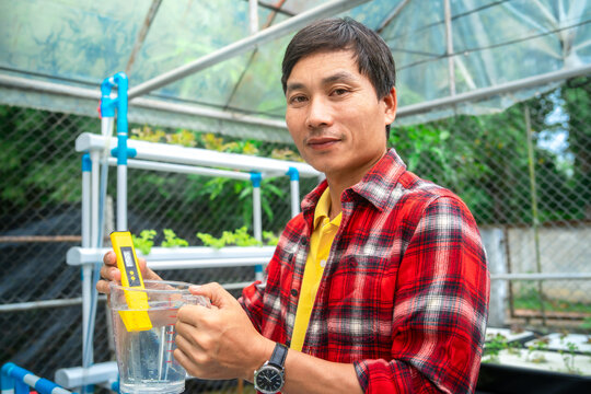 Farmers checking, inspecting quality of water in to check their hydroponic vegetable plots.