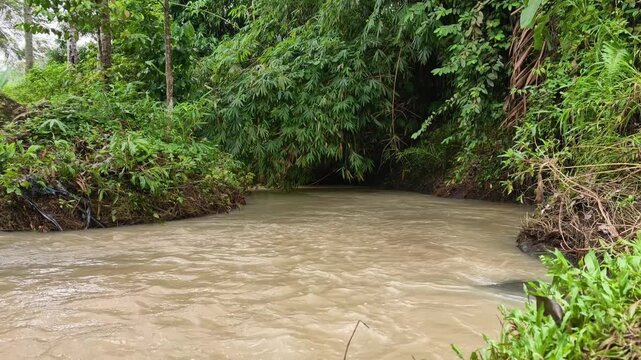 Brown forest river flowing downstream in Banten Indonesia with original nature sounds