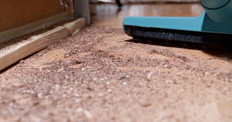 Removing Fine Sawdust From Floor Surface, Closeup Of Vacuum Clearing Wooden Sawdust Along Baseboard