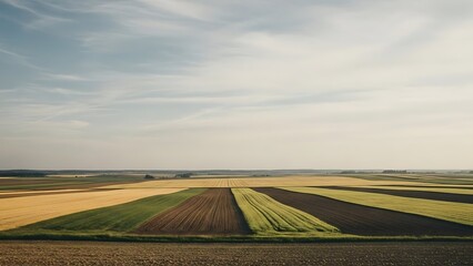 Rural Agricultural Fields Under A Vast Sky, Cultivated Landscape With Seasonal Changes