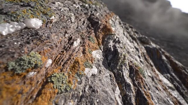 Close-up view of a rugged rock face with crystalline formations, moss and lichen in a natural setting.