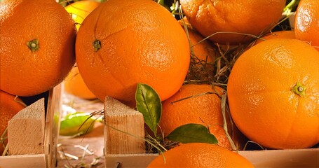 Natural Oranges Showcased In Rustic Packaging, Closeup Of Ripe Oranges Emphasizing Freshness And Quality