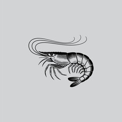 Detailed vintage style shrimp engraving illustration in black and white, realistic seafood sketch for culinary packaging and fine dining menus