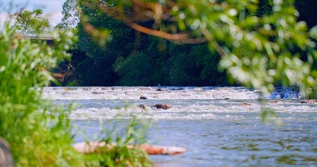 Serene River Meandering Through Illuminated Banks With Scattered Stones And Overhanging Branches