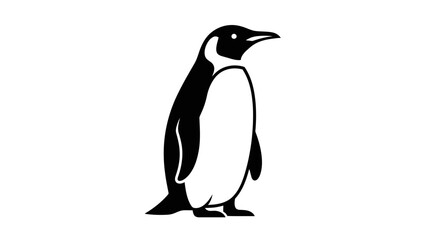 penguin isolated on white background