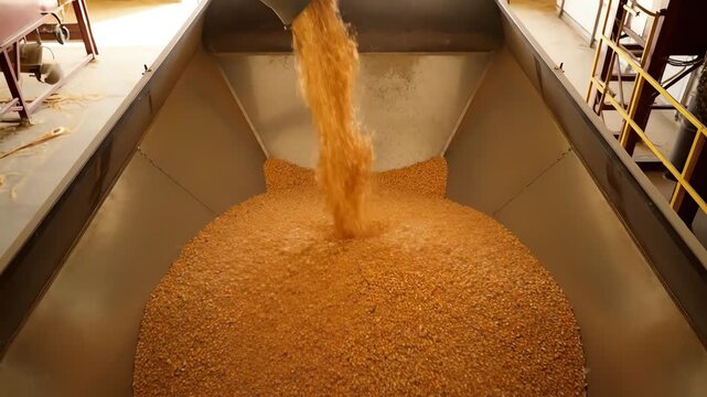 A close-up shot captures warm orange grain pellets pouring from an industrial chute, rapidly filling a large metal hopper inside a busy processing plant.