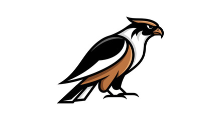 Obraz premium Adobe Illustrator Artwork