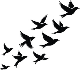 Obraz premium Black birds flying silhouette set isolated on white background, flock of swallows or sparrows in flight, migratory nature vector illustration