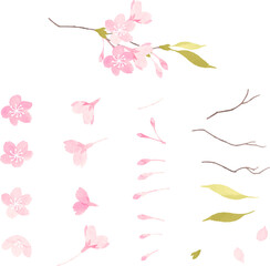 水彩で描いた桜のパーツのイラスト