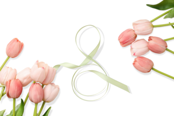 Pink tulips and ribbon celebrate women on March 8, isolated, PNG