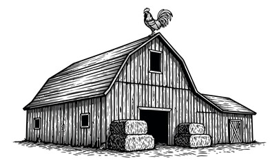 Hand drawn line art illustration of a farm barn depicting a rooster perched on its roof and hay bales for rural life concepts