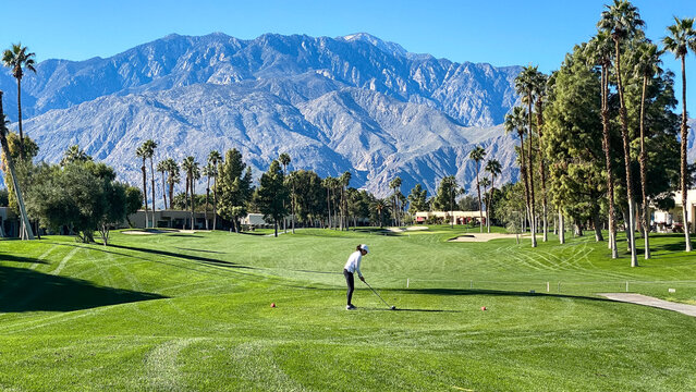 Woman Golfer Teeing Off on Palm Springs Golf Course