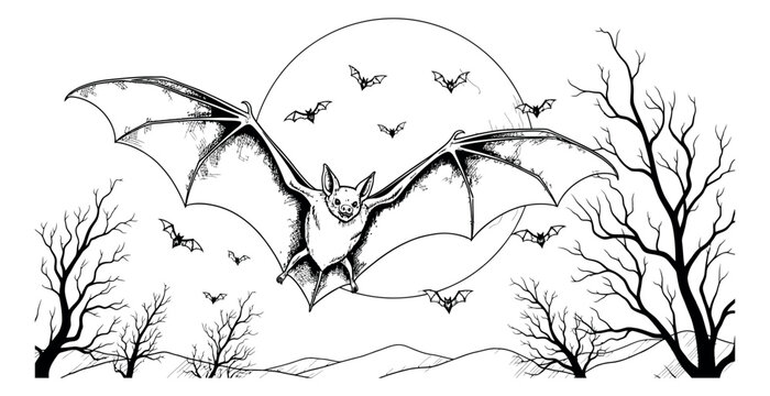 Hand drawn line art illustration of bats depicting a spooky moonlit night for Halloween