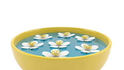 Yellow bowl with white flowers floating in blue water
