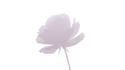 Soft, delicate, light purple flower silhouette, isolated on transparent background with gentle, natural lighting and minimalist composition