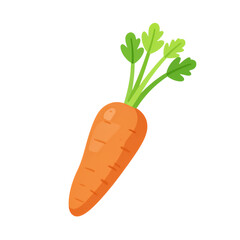 Fresh orange carrot with green leaves
