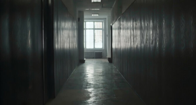 Smooth river stones in clear shallow water, detailed reflections on the waterbed, natural elements, tranquil setting, close-up