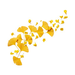 ultra realistic photo of vibrant golden ginkgo biloba leaves and delicate yellow petals swirling, falling in an arc on a smooth, shadowless transparent background. concept of natural dynamic movement