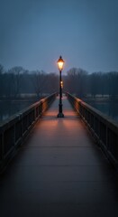 Fototapeta premium Illuminated pedestrian walkway extends into a misty, dark natural setting at dusk