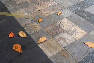 Scattered dry leaves in orange and red tones on a textured stone tile walkway. Minimalist nature background, seasonal concept, and urban transition. High-angle perspective