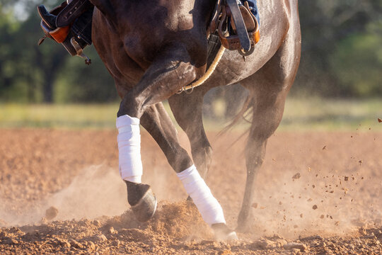 reining horse western legs spin crossover leg boot 