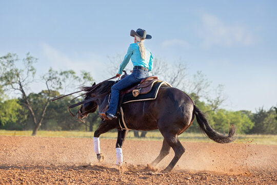 Cowgirl riding reining horse western