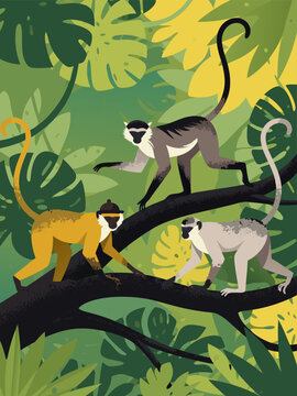 A vibrant vector illustration of four monkeys with diverse fur patterns exploring a lush jungle canopy with detailed foliage