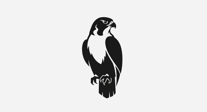 Black and white vector illustration of a peregrine falcon on white background