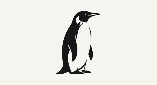 Black and white penguin illustration on white background isolated design