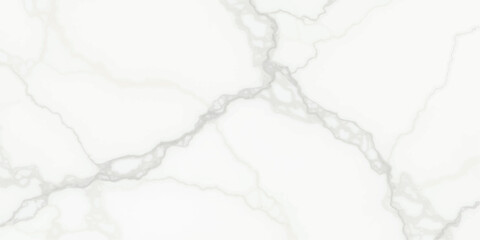 Obraz premium Abstract black and white background featuring a splash of white smoke textured with a lightning pattern and a sketch of a nature tree vector