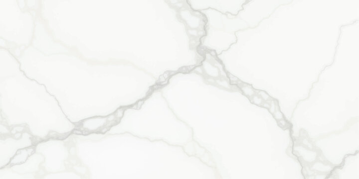 Abstract black and white background featuring a splash of white smoke textured with a lightning pattern and a sketch of a nature tree vector
