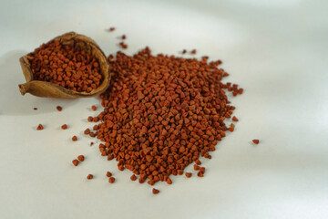 Annatto tree bixa orellana seeds 