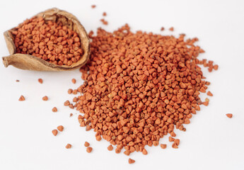Annatto tree bixa orellana seeds 