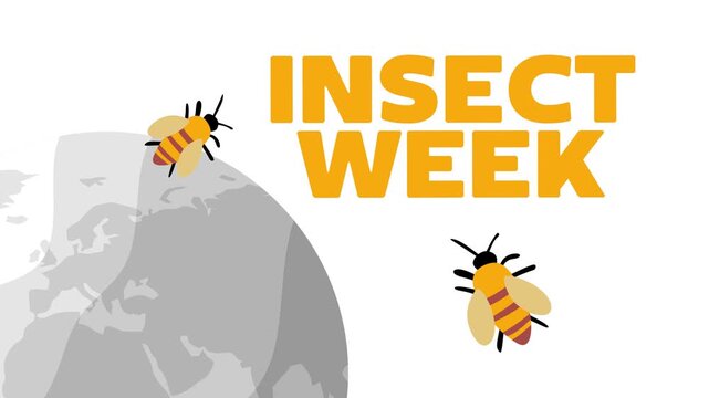 national insect week for insect conservation