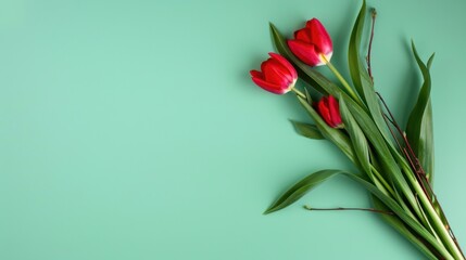 Fototapeta premium Fresh Red Tulips on Soft Green Background with Lush Green Leaves for Spring Decor and Floral Arrangements