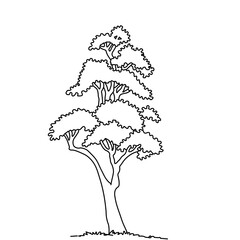 vector illustration of a tree