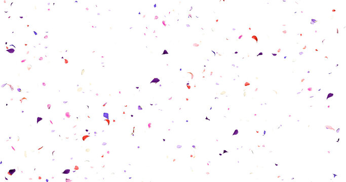 Colorful flower petals sway in the wind. Isolated on alpha background. 3D rendering.