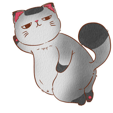 Cat jon