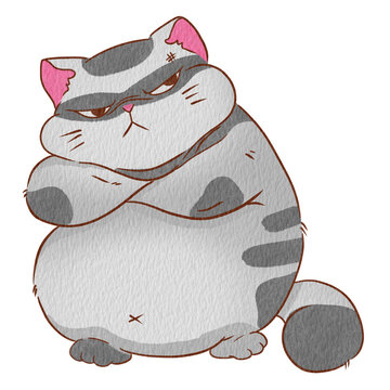 Cat jon