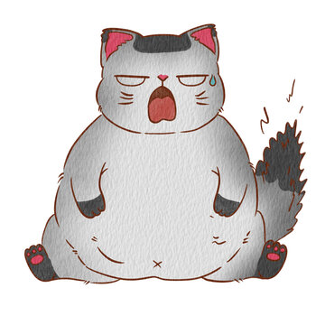 Cat jon