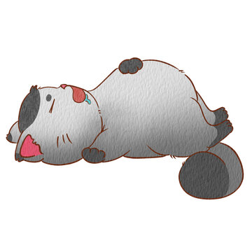 Cat jon