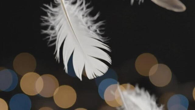 White Fluffy Feathers Gently Floating Down Against Dark Bokeh Background - Luxury Dream Sequence