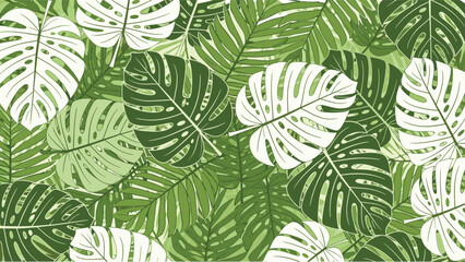 Fototapeta premium Tropical Monstera leaf pattern in green and white for lush, decorative, and nature-themed design content