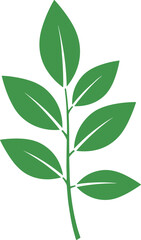 Fototapeta premium Vector illustration of leafy plant icon with central stem, vein detail, and selection highlight design element