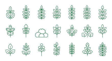 Green line art collection of diverse leaf and shrub structures for botanical icons and environmental landscape design elements.