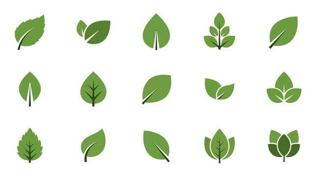 Collection of various green leaf shapes.