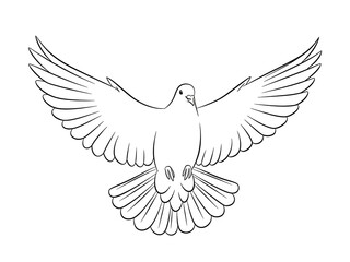 Obraz premium Dove Flying with Spread Wings Isolated on White Background